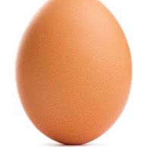 Meet your Posher, Spencer